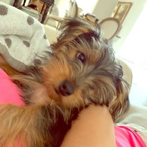 Meet your Posher, Caroline